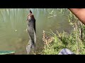 Segunda pesca con anzuelo en el río y saludos