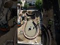 build a cat sew cat save swimming pool rent 🏠