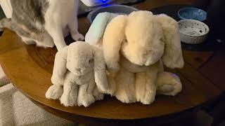 I LOVE THIS BUNNY SO MUCH - Douglas Soft Cream DLux Bunny Plush Review! screenshot 3