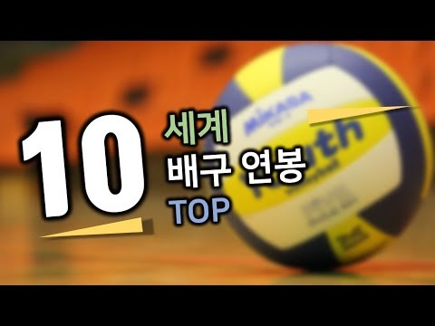   세계 배구 선수 연봉 TOP 10