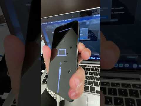 iPhone завис на яблоке