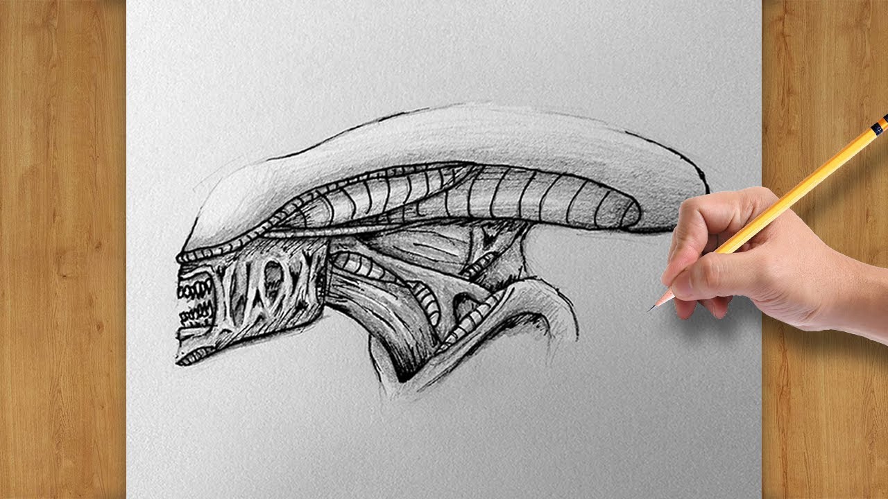 Alien Xenomorf Rajz