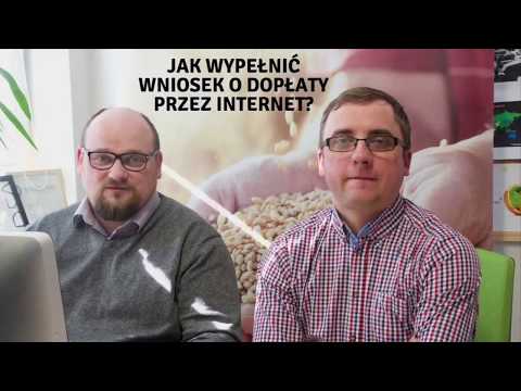 Wideo: Jak Wypełnić Wniosek O Wizę Schengen W Roku?