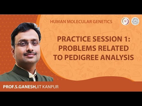 Practice Session 1: Problems Related to Pedigree Analysis