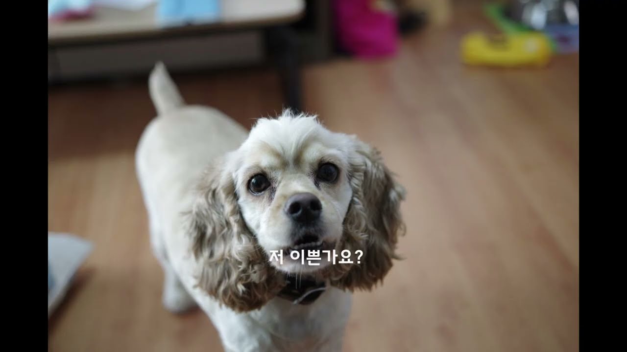 미루 만난 그 날.. 그리고 그 한 달..