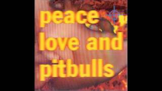 Watch Peace Love  Pitbulls Reverberation Nation video