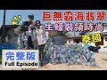 《世界第一等》905集【泰國】泰國夜市髒髒包/斧頭飛鏢/什麼都吹阿伯/極品翡翠蠔｜完整版