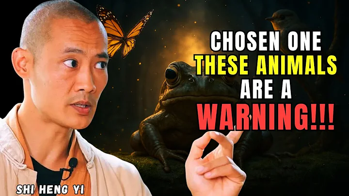 5 Animals That Appear During Your Spiritual Awakening (Don’t Ignore Them!)