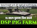 DSP Pig Farm | 15 साल पुराना सुअर फार्म | सबसे बड़े पिग फार्मों में से एक | Swastik Pig Farm