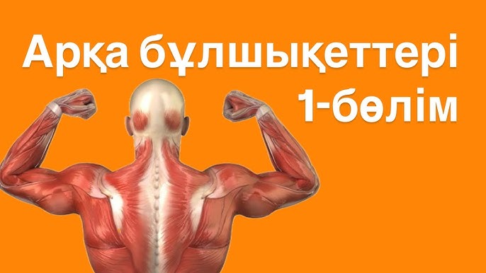 Дель Риодағы шу порно жоғары сапада қараңыз Бодибилдер әйелдердің үлкен клиторлық порносы