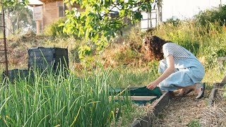 La Clave para una Tierra Fértil y Saludable | La Gran Importancia de la Materia Orgánica