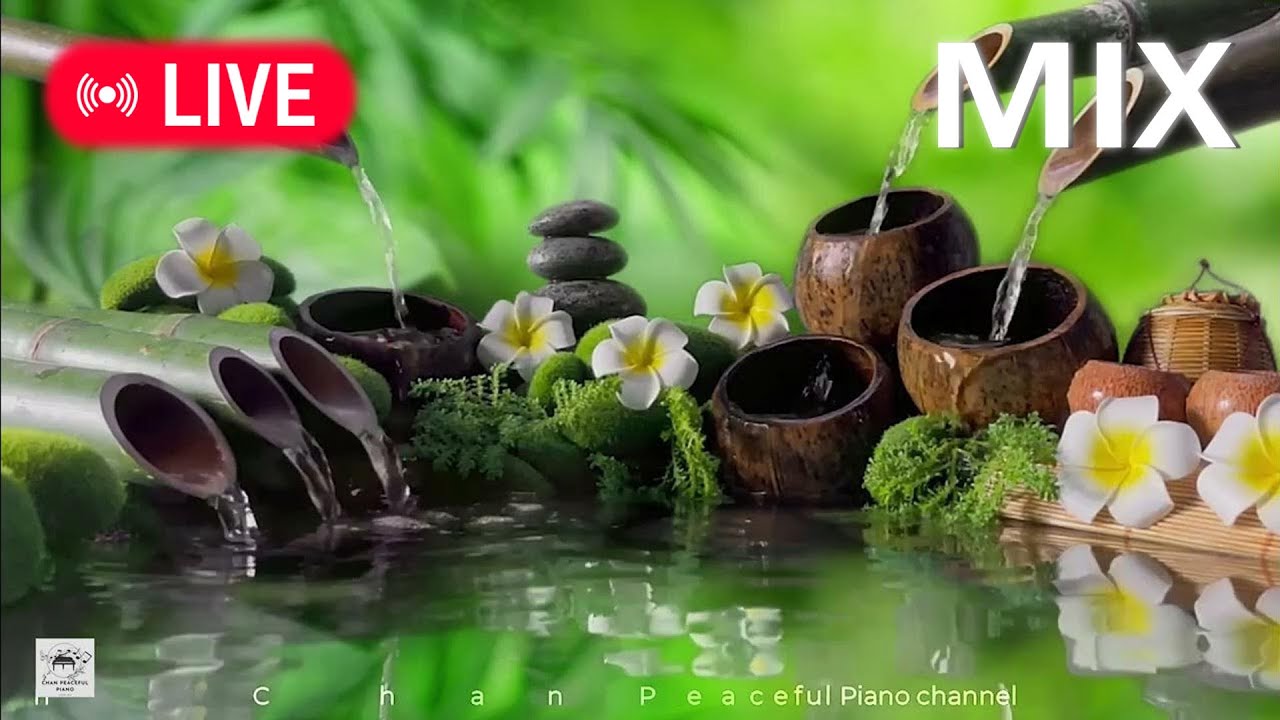 🔴Relaxing Music 24/7, Calm Music, Yoga, Relaxing Sleep Meditation, Spa, Study Music, Nature Sounds