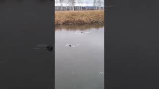 История о рыбалке в начале октября #рыбалка #братск #щука #сибирь