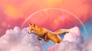 Adobe Photoshop Elements 2025: Next-level photo perfection.