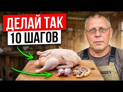 ТОП-10 шагов потрошения бройлера и любой птицы — инструкция для новичков! 🔪🔥🔪🔥