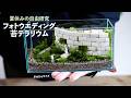 結婚式の苔テラリウムをつくる【夏の自由研究】No.236