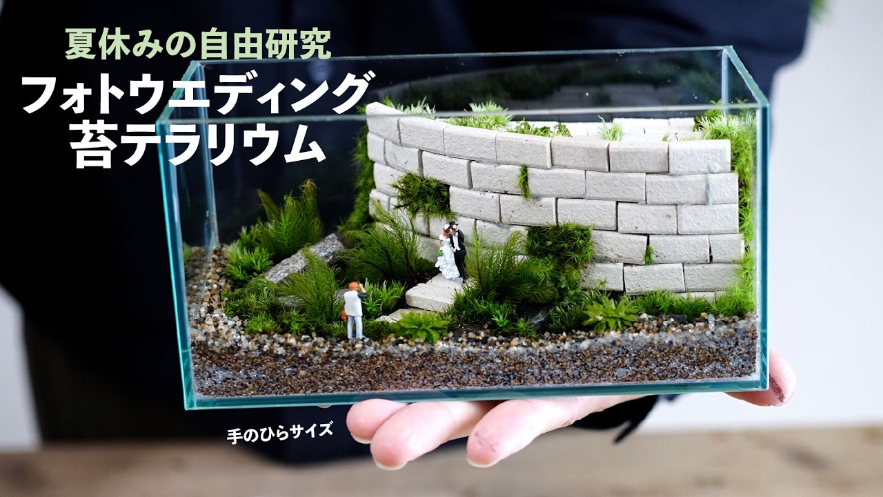 結婚式の苔テラリウムをつくる【夏の自由研究】No.236