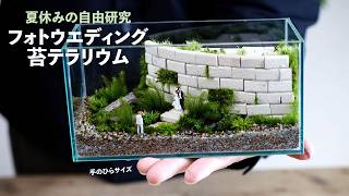 ガラス容器】フィット200×100Low（20×10×高さ10㎝）◇ワイドな景色の