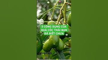 5 CÔNG DỤNG CỦA QUẢ CÓC THÁI BẠN ĐÃ BIẾT CHƯA