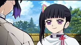 Shinobu Talks To Kanao Kimetsu No Yaiba