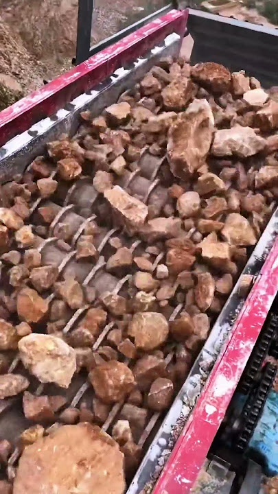 Debris separator
