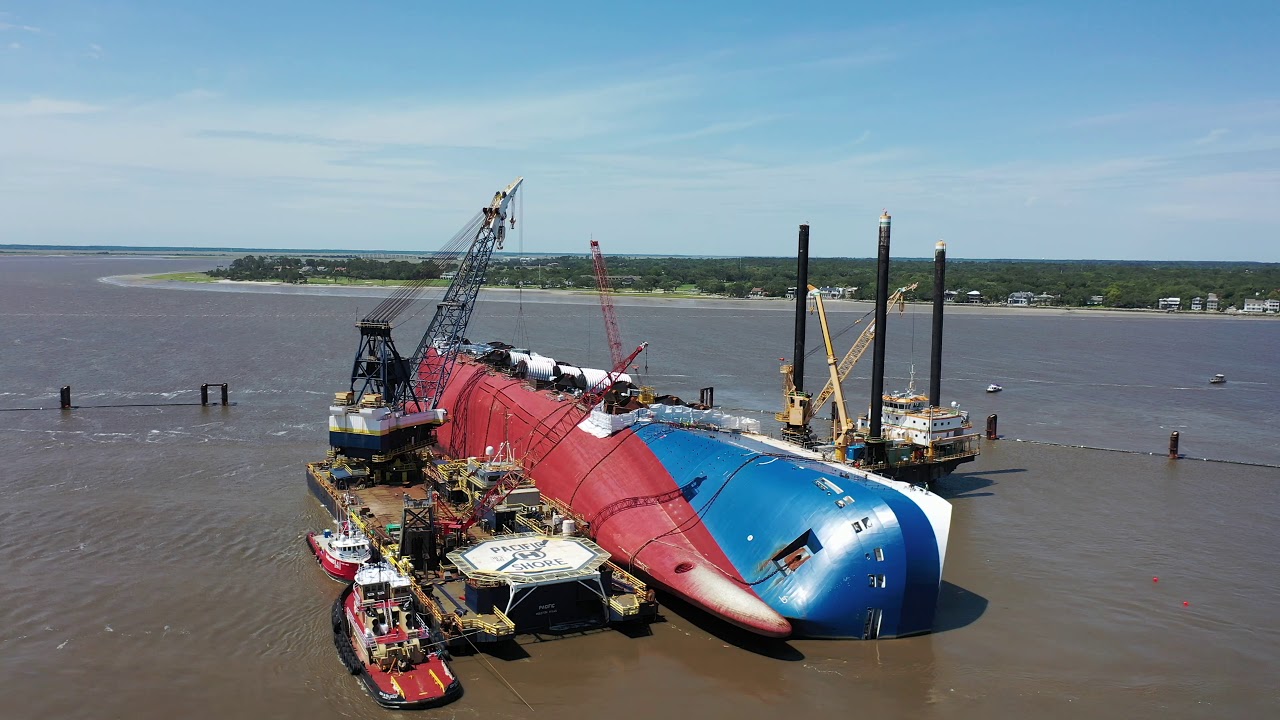 The Golden Ray YouTube