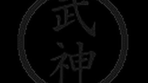 Bujinkan Ninjutsu, 9th Kyu, part 15 - 5 techniques using ukemi 3,7,8,9, arrow catching & throwing