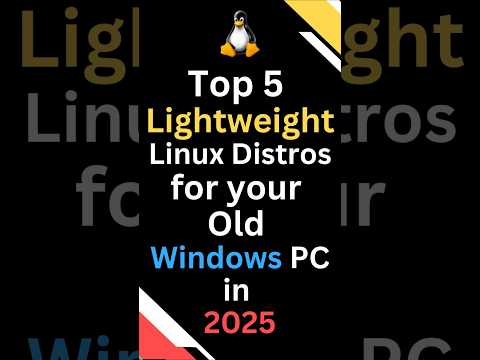 5 Best Lightweight