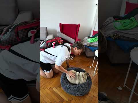 Moja dzienna rutyna