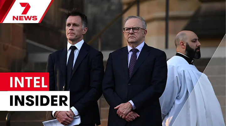 INTEL INSIDER: A look inside Australia's intelligence with John Powers and Tim Lester | 7NEWS