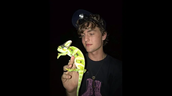 Finding Wild Chameleons in FLORIDA?!