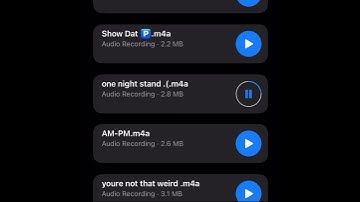 UnoTheActivist - one night stand (snippet)