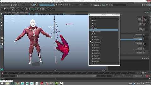 Ziva VFX Run-Up for Shot WorkTutorial – Part 2