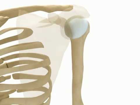 scapulothoracic joint capsy