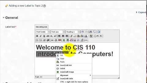 Moodle Minute - Spell Check in Moodle