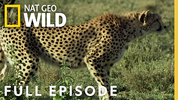 The Hunting Game (Full Episode) | Predator Fail
