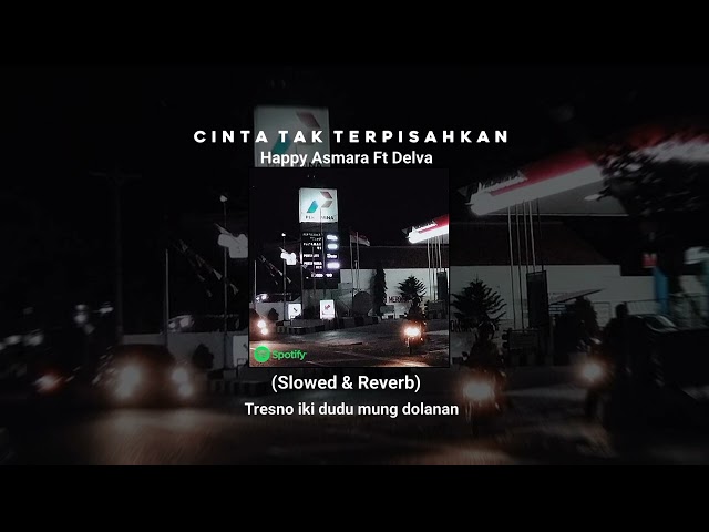 CINTA TAK TERPISAHKAN - HAPPY ASMARA Ft DELVA || (SLOWED + REVERB ) class=