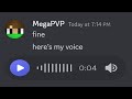 MEGAPVP VOICE REVEAL