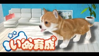 【癒し】幸せの犬育成ゲーム3D-完全無料のペット育成ゲーム- screenshot 4