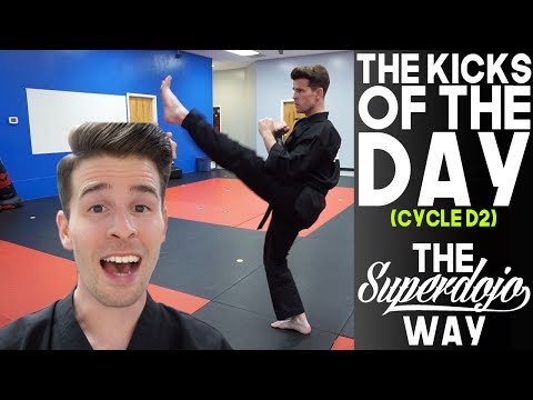 The Kicks of the Day: Spin Hook Kick, Side Kick, Front Kick