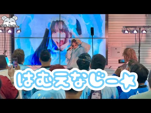 Hamu Cotton「はむえなじー☆」 First Live Performance at HamuFest