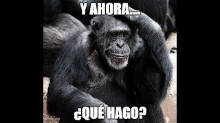 Thumbnail image for Gordon's Diaries Proyectos, Proyectos LightSpeed Spanish