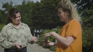 Funding the arts will help us find answers to the planet