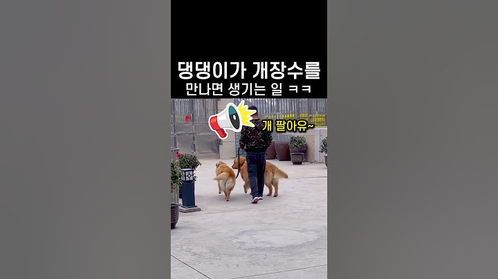 댕댕이가 개장수를 만나면 생기는 일 ㅋㅋ