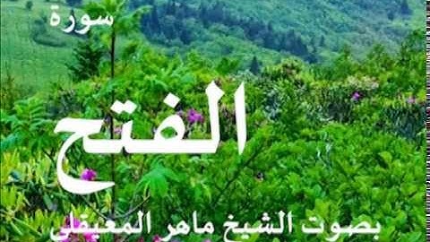 سورة الفتح بصوت الشيخ / ماهر المعيقلي 48