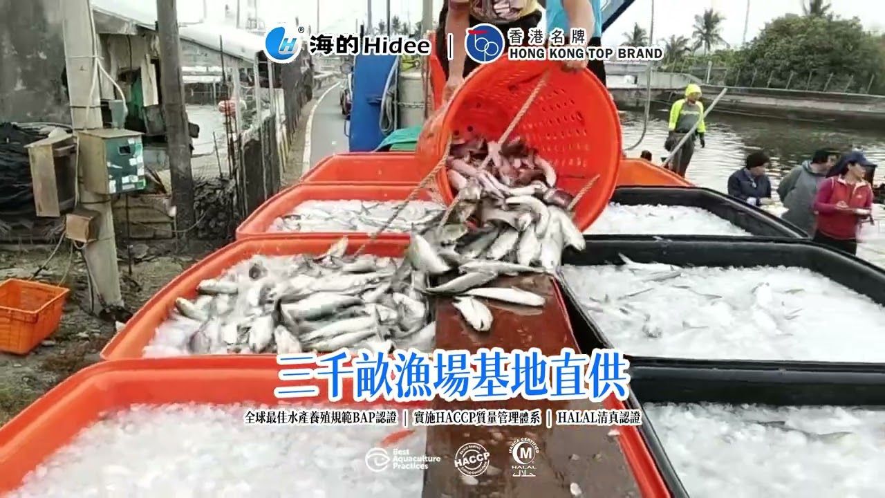 海的三千畝漁場基地航拍（二十九）