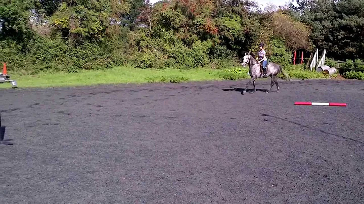 Melissa Dowding schooling Oakley.