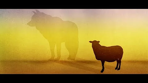 True Disciples, Part 2: Beware of False Prophets (Matthew 7:15-20)