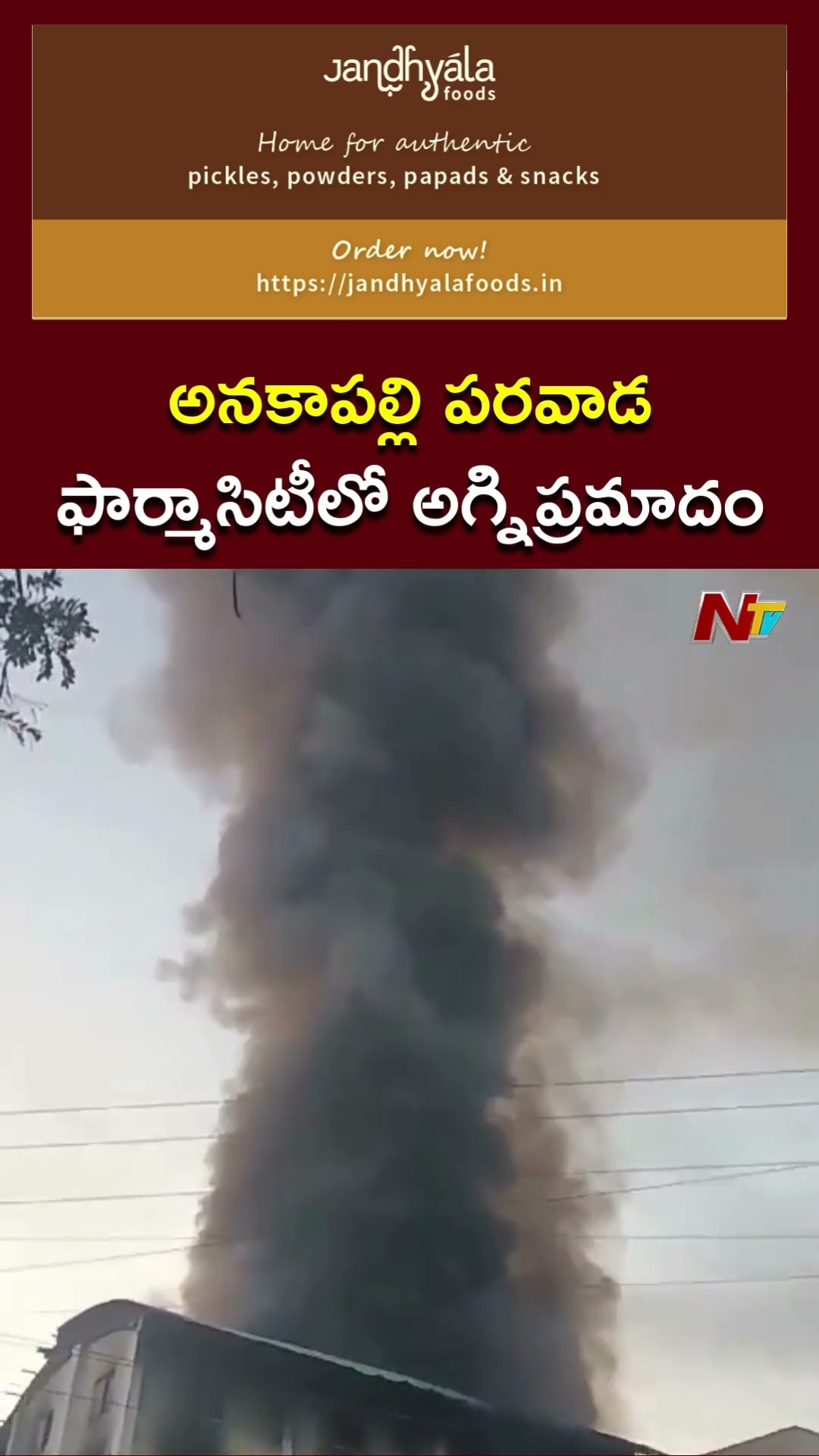 Anakapalli: Fire Incident in Parawada Pharma City | Ntv