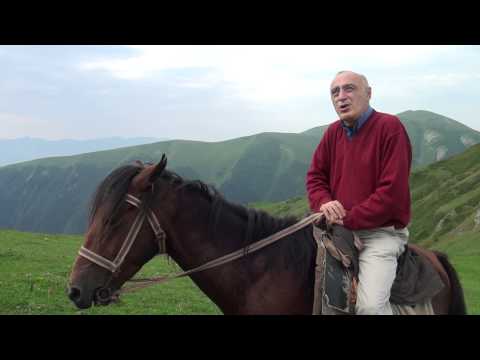 ჯონი ჯანელიძე - ღმერთო დაიფარე საქართველო